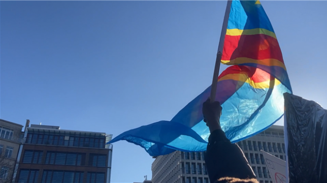Une marche était organisée samedi dans la capitale afin de dire stop au génocide dans l'est de la République démocratique du Congo. Les associations congolaises de la diaspora, à l'initiative de la manifestation, appellent la Belgique et l'Union européenne à prendre des mesures effectives afin d'endiguer le conflit, qui s'est intensifié depuis lundi dernier.