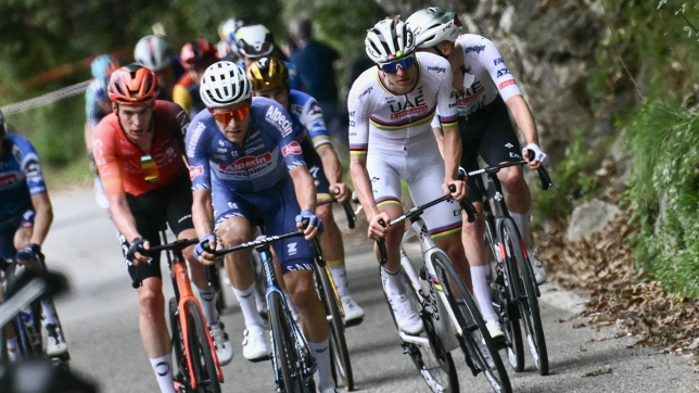 belgaimage-102382454_copie