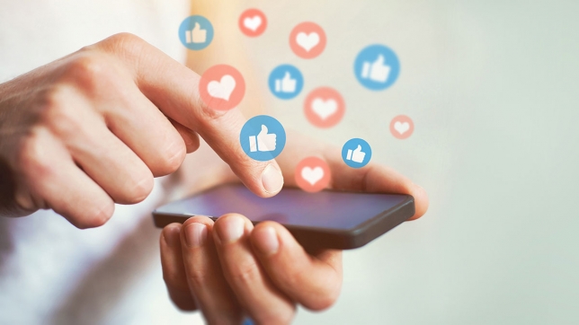 Vers une interdiction des réseaux sociaux pour les enfants en Flandre ? 