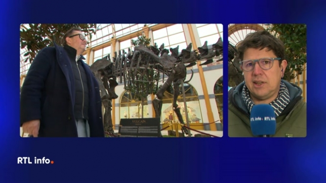 En direct, Julien Crète explique que le parc Pairi Daiza va présenter cette année une exposition sur les dinosaures. Ce sera l'occasion de voir un vrai squelette de dinosaure, datant de 150 millions d'années.