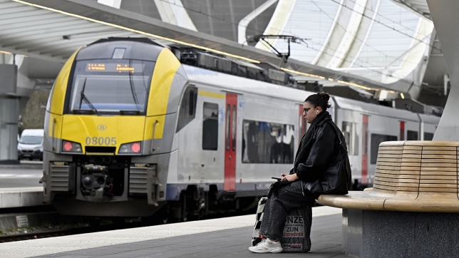 belgaimage-108640935