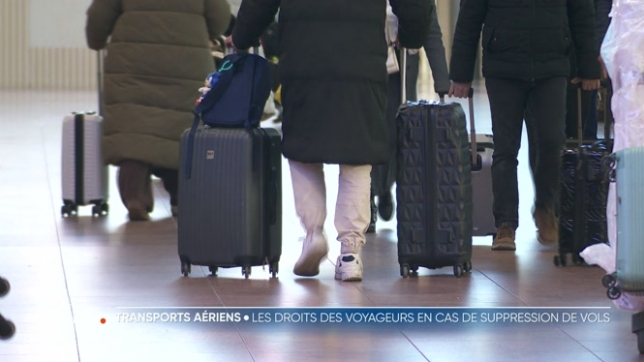 Aucun vol passager ne décollera de Brussels Airport, à Zaventem, ni de Charleroi. Les passagers concernés par les annulations ont des droits. Les compagnies aériennes doivent leur proposer le remboursement de leur billet ou un autre vol.