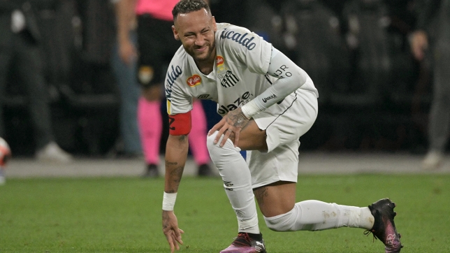 belgaimage-112341969_copie