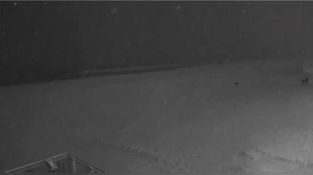 Les images de la côte sous la neige