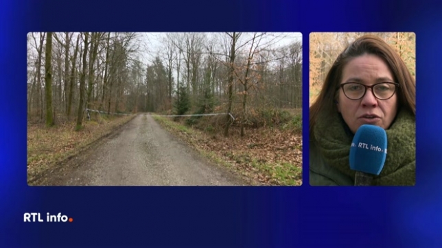 Un promeneur a découvert deux corps sans vie dans les bois du Baileux à Chimay, samedi vers 17h. Les corps étaient calcinés, une identification n'a pas encore eu lieu et elle sera compliquée à cause de la destruction par le feu des corps.