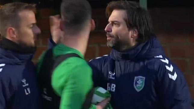 bouchez_francs_borains