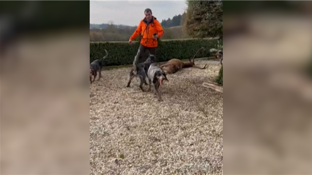 La scène a été filmée par la mère du réalisateur.