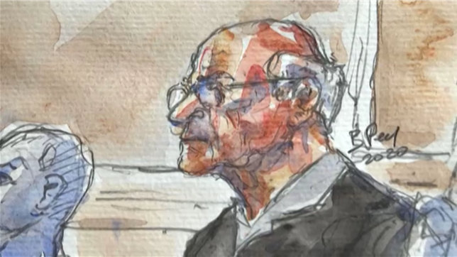 C'est l'une des plus grandes affaires de pédocriminalité jamais jugées en France : le procès de Joël Le Scouarnec, ex-chirurgien accusé de violences sexuelles sur près de 300 jeunes patients dans une douzaine d'hôpitaux, s'est ouvert lundi en début d'après-midi à Vannes.