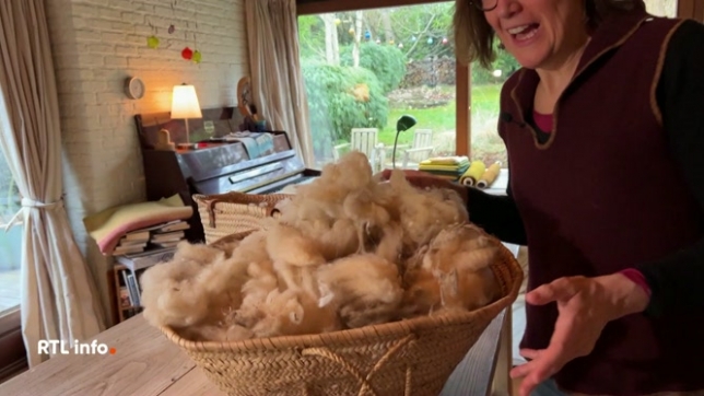 Ce sont 200 000 moutons qui gambadent dans nos prairies belges. Une fois par an, ces moutons sont tondus et la plupart des éleveurs ne font rien de cette laine. Un couple de Rixensart a trouvé la solution pour lui donner une seconde vie, en fabriquant des couettes.