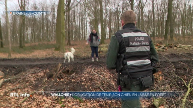 Les gardes forestiers sont mobilisés aujourd'hui. Ils mènent une opération pour faire respecter l'obligation de tenir son chien en laisse dans les bois. Cette obligation est indispensable pour préserver la faune sauvage et les nidifications.