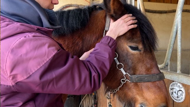 Émeline, de Fernelmont, est masseuse pour