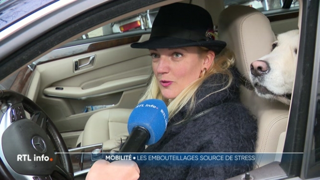 Affronter les embouteillages aux heures de pointe n'est pas sans conséquences sur notre santé mentale. Plusieurs études récentes ont démontré que ces embouteillages peuvent augmenter notre anxiété voire susciter en nous un sentiment d'inutilité.