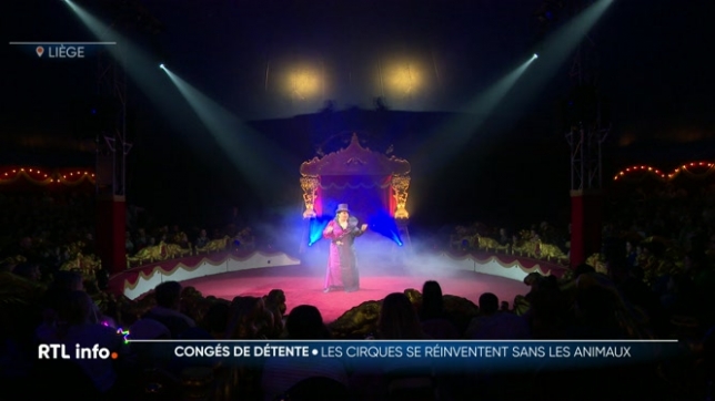 Le cirque a dû se réinventer après que les animaux aient été interdits. Malgré cela, le succès est toujours au rendez-vous. On est passé d'une petite dizaine à une centaine de cirques en l'espace de 20 ans.