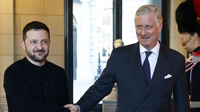 Le roi Philippe et Volodymyr Zelensky