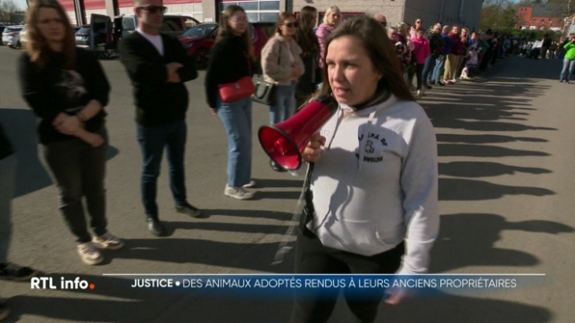 Des chiens maltraités ont été mis à l'adoption, mais le Conseil d'Etat a décidé de les rendre à leurs anciens propriétaires, accusés de maltraitance. Les associations qui ont recueilli les animaux s'insurgent contre cette décision.