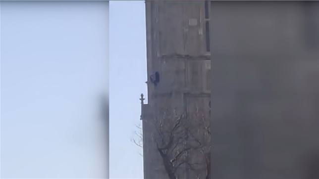 Un homme muni d'un drapeau palestinien escalade la tour abritant Big Ben à Londres