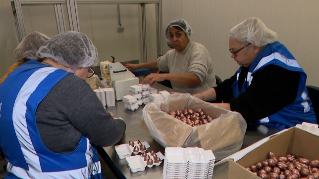 "Le principal, c'est de mettre l'humain au travail": cette entreprise s'adapte à ses travailleurs en situation de handicap 