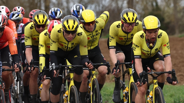 L'équipe Visma-Lease