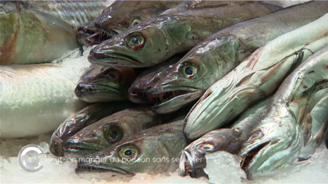 Le prix du poisson freine souvent les consommateurs, mais des alternatives existent ! Maquereau, sardine, sébaste ou encore plie : des espèces locales et abordables permettent de manger du poisson régulièrement sans se ruiner.