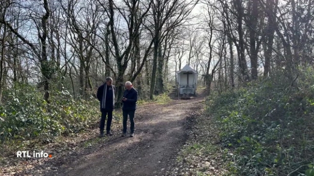 A Thuin, le bois du Grand Bon Dieu est en cours de restauration. Tous les édifices de cet espace sont rénovés pour mettre en valeur ce bois qui fête ses 300 ans.