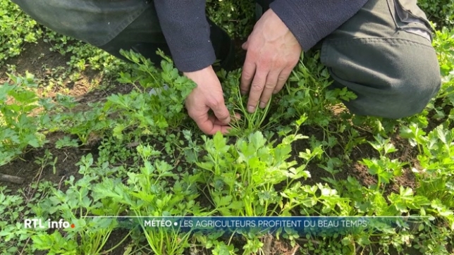 Le temps sec actuel permet aux agriculteurs de travailler la terre plus facilement. La surface est sèche, mais le sol reste humide en profondeur, offrant des conditions idéales pour les cultures à venir. Les cultivateurs sont optimistes pour la saison à venir.