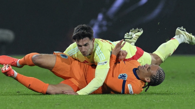 belgaimage-115342494_copy