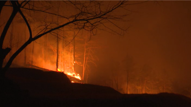 Une série d'incendies de forêt sans précédent en Corée du Sud a fait 18 morts et ravagé des milliers d'hectares, poussant les autorités à déclencher une réponse nationale totale.