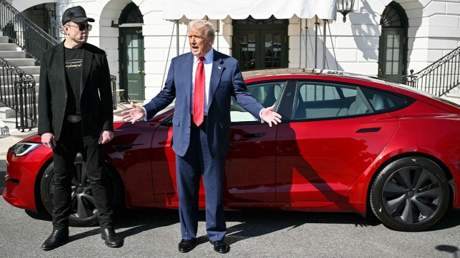 trump_cars