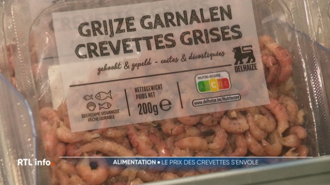 Le prix des crevettes grises de la mer du Nord approche les 100€/kg à cause d'une baisse des captures et d'une forte demande. La raréfaction du produit, accentuée par des quotas de pêche et la météo, pousse les prix à la hausse. Cette tendance pourrait se poursuivre.