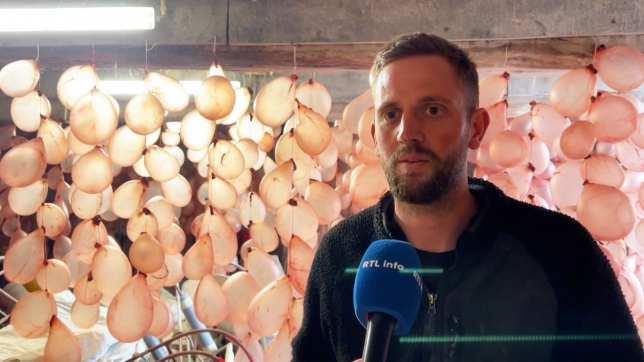 Simon, un Blanc-Moussi