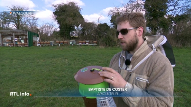 Avec lle printemps, la nature se réveille doucement, les insectes aussi... C'est le cas notamment des frelons asiatiques, une espèce exotique envahissante qui est nuisible pour la biodiversité. Pour tenter de lutter contre la prolifération des frelons, des pièges peuvent être installés.