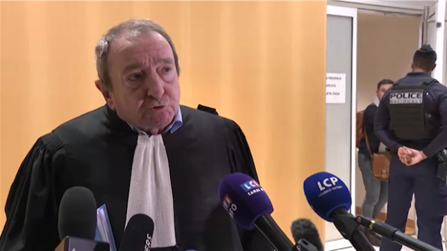 Ce qui a attiré mon attention en ce qui concerne l'exécution provisoire, c'est que (...) le tribunal avait ciblé le système de défense et le comportement à l'audience, déclare l'avocat du Parlement européen, Patrick Maisonneuve, alors que Marine Le Pen,  reconnue coupable de détournement de fonds publics, a été déclarée inéligible avec effet immédiat par la justice.
