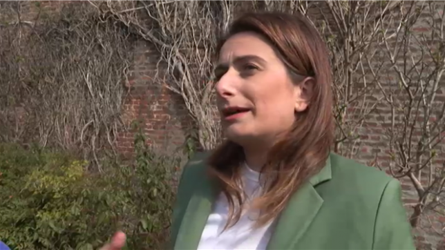 Marine Le Pen doit payer sa peine car elle est une justiciable comme les autres, estime Marine Tondelier, la secrétaire nationale des Écologistes, après la condamnation de la cheffe de file du RN à cinq ans d'inéligibilité immédiate et quatre ans de prison, dont deux ferme aménagés sous bracelet électronique.