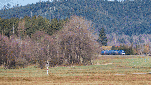 belgaimage-114358216