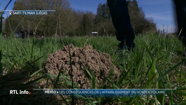 Le Vortex polaire est en train de disparaître. Qu'est-ce que cela signifie ? Et quelles en seront les conséqunces pour notre climat à court, moyen et long terme ?