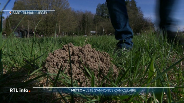 Le Vortex polaire est en train de disparaître. Qu'est-ce que cela signifie ? Et quelles en seront les conséqunces pour notre climat à court, moyen et long terme ?