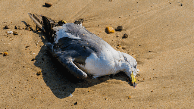 adobestock_367243469