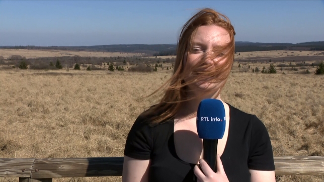 grab_20250404_142748_1