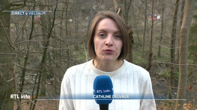 Un vaste incendie a touché une forêt privée située le long de voies ferrées à Vielsalm , perturbant le trafic ferroviaire entre Vielsalm et Trois-Ponts, dans les deux sens. D'importants dégagements de fumée ont été constatés. Le point sur le sinistre et les dégâts avec Cathline Delvaux.