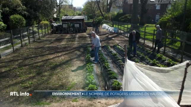 Avec un temps presque estival, de nombreux Belges profitent du beau temps pour travailler dans leurs jardins. Ceux sans jardins se tournent vers des espaces communautaires. Ces potagers permettent aux habitants de participer ensemble, d'échanger des conseils et de partager leurs récoltes.