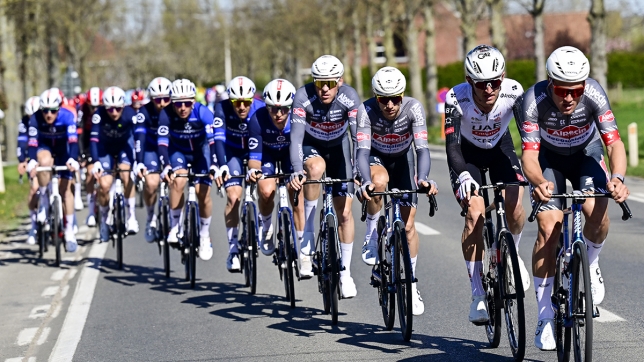 belgaimage-119573083_copie