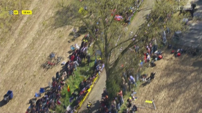 Tour des Flandres: Tadej Pogacar fait exploser van der Poel et van Aert dans le Vieux Quaremont
