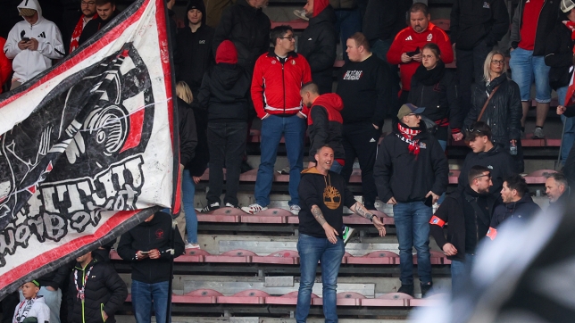 belgaimage-119667169_copie