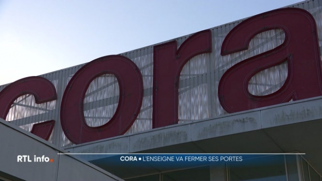 Après plusieurs années de difficultés, l'enseigne n'a pas trouvé de repreneur malgré des efforts pour redresser la situation. Les causes évoquées incluent l'érosion du pouvoir d'achat et la concurrence. Les syndicats espèrent qu'un repreneur se manifestera encore.