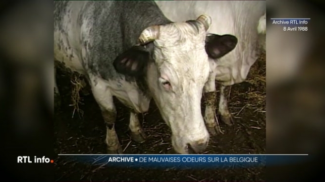 Notre archive du jour nous plonge en 1988, une année marquée par un problème d'odeurs nauséabondes qui avait perturbé une grande partie du pays. Un reportage qui mêle témoignages d'époque et analyses scientifiques pour éclairer ce mystère.