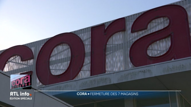 Après plusieurs années de difficultés, l'enseigne n'a pas trouvé de repreneur malgré des efforts pour redresser la situation. Les causes évoquées incluent l'érosion du pouvoir d'achat et la concurrence.