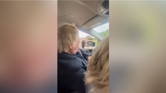 Boris Johnson attaqué par une autruche: sa femme poste la vidéo sur les réseaux sociaux.