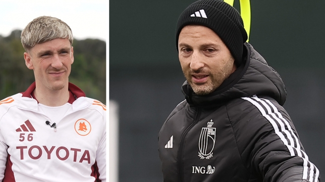 saelemaekers_tedesco