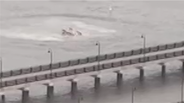 Crash d'un hélicoptère dans l'Hudson River: tous les occupants sont décédés.