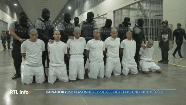 Les détenus expulsés des Etats-Unis vers le Salvador se trouvent au Cecot
